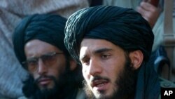 طیب آغا، نماینده طالبان افغان