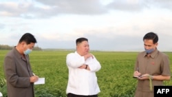 북한 김정은 국무위원장이 제8호 태풍 '바비'가 강타한 황해남도를 돌아보며 피해 상황을 파악했다고 28일 관영 조선중앙통신이 전했다.