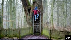 ต้นโอ๊คเจ้าบ่าว หรือ Bridegroom’s Oak ในป่าโดเดา ห่างจากกรุงเบอร์ลินไปทางเหนือราว 250 กม.