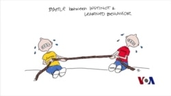 智能带动研发 福特汽车雇佣专家画出未来蓝图