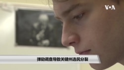 弹劾调查导致关键州选民分裂