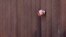A person's hand reaches through a fenced section of the U.S.-Mexico border in southern California. (R. Taylor/VOA)