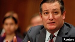 미국 상원 군사위원회 소속인 테드 크루즈 공화당 의원.