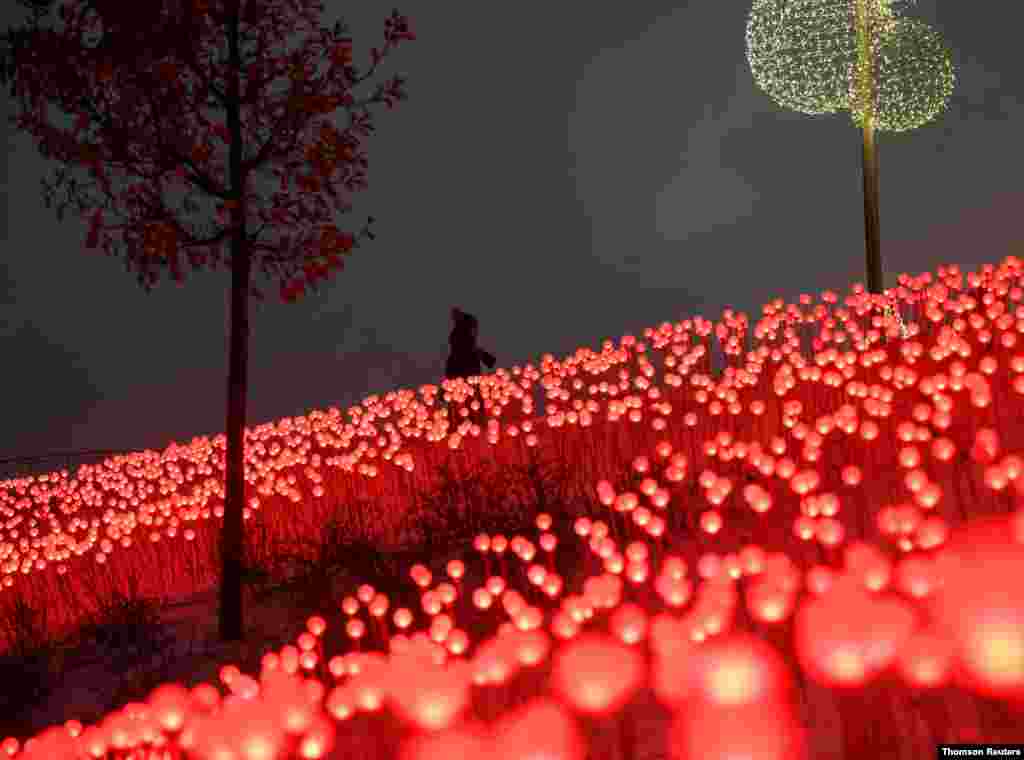 러시아 모스크바의 자르야데 공원에 성탄절과 새해 기념 장식이 설치됐다. 