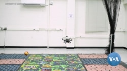 LogOn: World’s Smallest Drones Could Revolutionize Agriculture, Search and Rescue Efforts