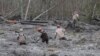 Rescue workers make their way through the mud and wreckage left behind by Saturday&#39;s mudslide as they look for signs of missing people, in Oso, Washington, March 27, 2014.