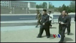 朝韩统一新契机与美军去留