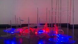 [자유를 찾아서] 전주영 (9) '고향의 친구들을 떠올리며'