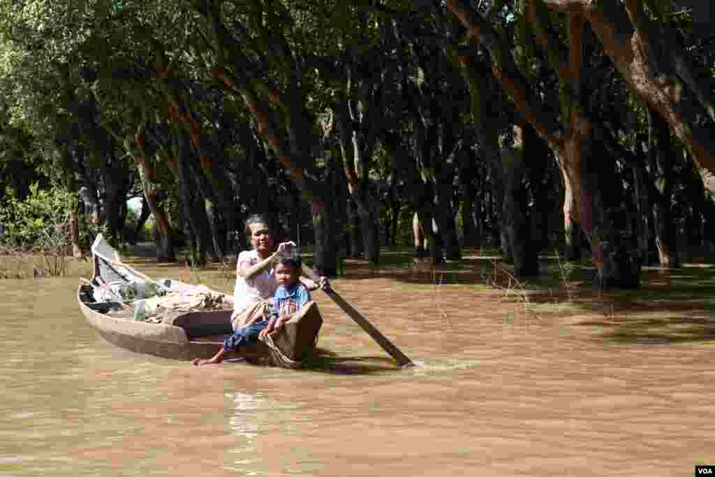 ស្រ្តី​ម្នាក់​កំពុង​អុំ​ទូក​ដឹក​ចៅ​របស់​គាត់​ នៅ​ក្នុង​ភូមិ​កំពង់​ភ្លុក​ ខេត្ត​សៀមរាប​ កាល​ពី​ថ្ងៃ​ទី​៥​ ខែ​ធ្នូ​ ឆ្នាំ​២០១៥។
