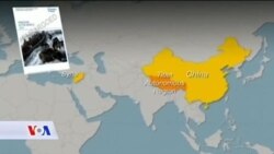 Freedom House: Trump glavni uzrok opadanja stepena demokratije u SAD