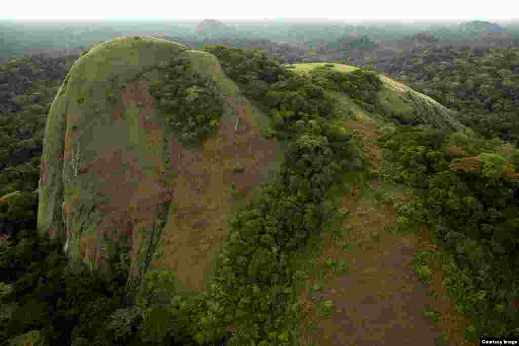 Inselbergs are enormous rocks that stick out above the rainforest like islands, sometimes rising several hundred meters above the vegetation, shown here in northeastern Gabon. (Credit: &copy;Wild-Touch, Sarah Del Ben, 2012)