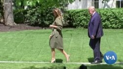 Grin-karta berish ikki oyga to'xtatiladi