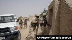 Chad, Niger Launch Joint Offensive Against Boko Haram