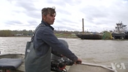 中国移民肯塔基办厂 解决亚洲鲤鱼难题