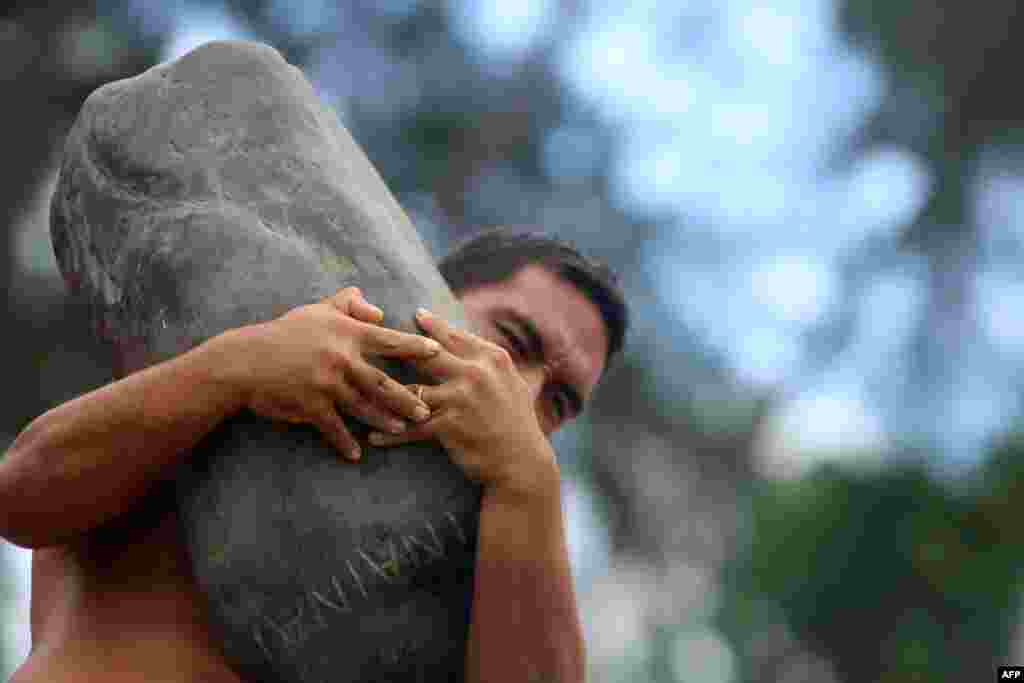 Seorang pria ikut dalam lomba olahraga tradisional mengangkat batu seberat 100 kilogram di Tahiti.