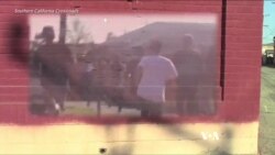 Helping Troubled Teens Heal Through Filmmaking