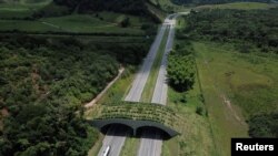 An ecological bridge that serves as a corridor for the endangered Golden Lion Tamarin is seen over an interstate highway in Silva Jardim in Rio de Janeiro state, Brazil December 2, 2021. (REUTERS/Pilar Olivares)