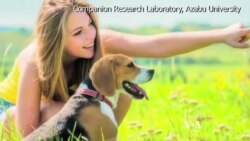 Eye Contact Secures Dog's Place in Human Heart