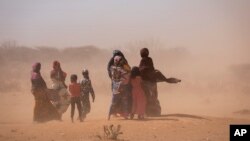 Žene i deca hodaju tokom snažnog pustinjskog vetra nedaleko od sela Sagalo, u oblasti Korahe, u somalijskom delu Etiopije, 21. januara 2022.