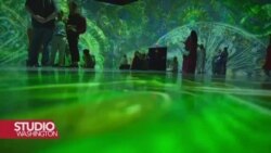 Izložba Zona sumraka: skrivena čuda oceana