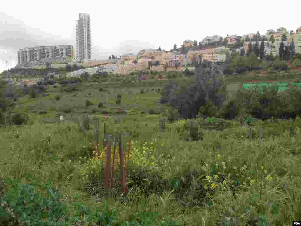 Gazelle Valley Park, Jerusalem (Michael Lipin/VOA)