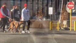 华盛顿居民感恩节为慈善而行走