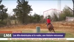 La culture cow-boys chez les Africains-Américains