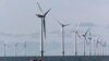 (FILE) Offshore windmills in the North Sea near the village of Blavandshuk near Esbjerg, Denmark.
