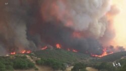 Study: Unusual Heat Waves to Become Norm