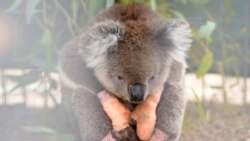 VOA Asia - Time for Technology Radioactive 20200810