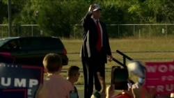 Clinton Has Edge Nationally and in Key States With 2 Weeks to Go