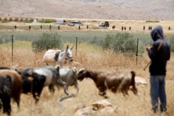 Israeli troops stand guard as Palestinians protest against Israel's plan to annex parts of the occupied West Bank, in Jordan Valley, June 5, 2020.