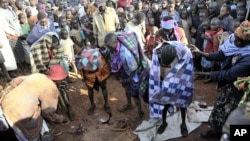 Rassemblement public autour d'un groupe d'adolescentes de la tribu Sebeï, juste après leur excision à Bukwa, Ouganda. 