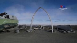 Ութղարվիկ՝ բևեռային բվերի որսավայր