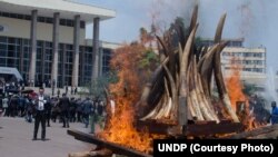 IVOIRE clip_image001.jpg