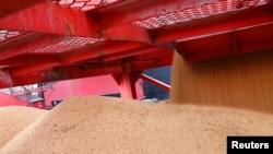 2018年4月4日，在中国江苏南通的一个港口进口的大豆。