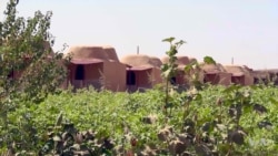 A Women-Only Village in Northern Syria is Home to Needy Families