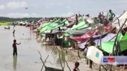 کانگرس امریکا: سرکوب روهنگیایی ها باید "پاکسازی قومی" اعلام شود