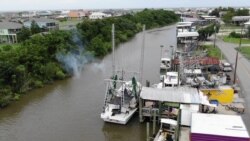 Jeremiah Blaise docks a boat at Rock-N-Dock shrimp unloading dock, in St. Bernard Parish, Louisiana. (R. Taylor/VOA)