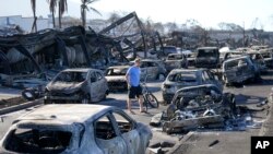 FILE - A woman digs through the rubble of a house destroyed by a wildfire on Aug. 11, 2023, in Lahaina, Hawaii. The confirmed death toll is 115; 66 are still missing.
