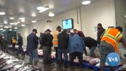 Hawaii Fishermen Concerned with Growing Chinese Presence