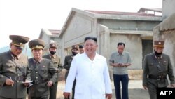 김정은 북한 국무위원장이 황해북도 황주군 광천리에 건설 중인 광천닭공장을 찾았다고 관영매체들이 23일 전했다.