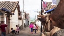 Chinese TV Warps U.S. Views on Wealth, Income Equality