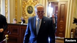 FILE - Senate Minority Chuck Schumer, D-N.Y., speaks to reporters after a Democratic caucus meeting at the U.S. Capitol in Washington.