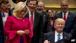 ფოტოზე რესპუბლიკელი კონგრესმენი, ლიზ ჩეინი აშშ-ის 45-ე პრეზიდენტთან, დონალდ ტრამპთან ერთად. 27 მარტი, 2017 წელი.