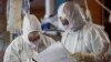 Hard-Hit Italy Sees Slowing of New Coronavirus Cases, Deaths