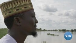 Nigeria Loses a Quarter of Rice Production to Floods