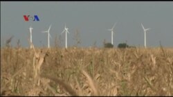 Kebijakan Trump Tak Perhatikan Energi Terbarukan