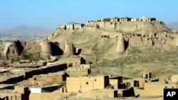 مسئولین غزنی می گویند که درطی یک سال اخیر بیش از ٧٠ فرد با نفوذ محلی در این ولایت ترور شده اند.