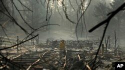 A firefighter searches for human remains in a trailer park destroyed in the Camp Fire, Friday, Nov. 16, 2018, in Paradise, California.